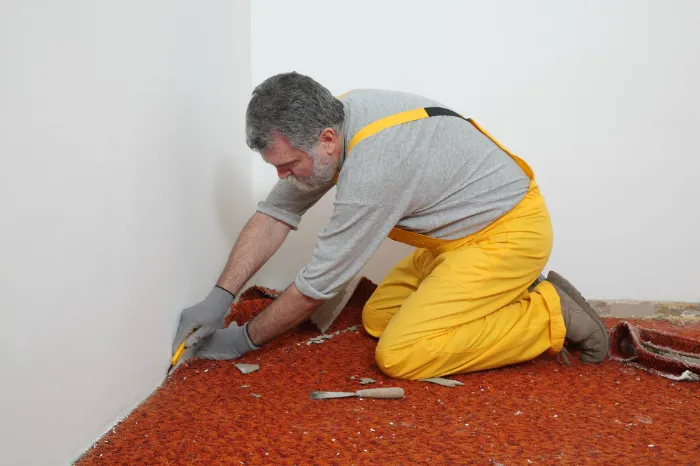 Carpet Removal